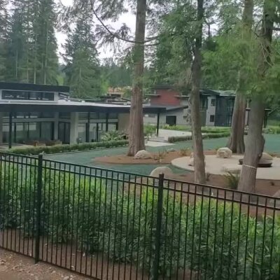 Black metal fence surrounding a modern home with landscaped trees and planted areas.
