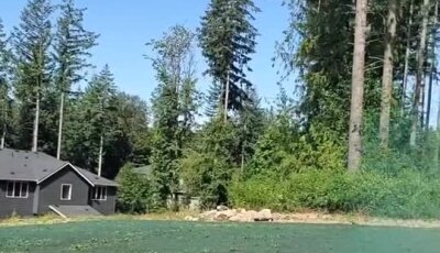 New hydroseed lawn applied at custom home site in wooded area.