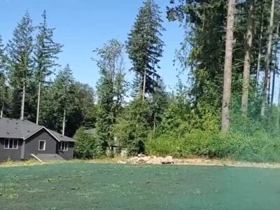 New hydroseed lawn applied at custom home site in wooded area.