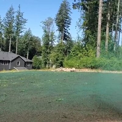 New hydroseed lawn applied at custom home site in wooded area.