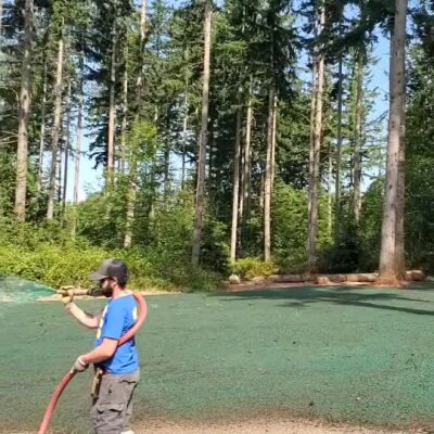 Man spraying hydroseed on lawn area near tall trees in Washington forest setting.