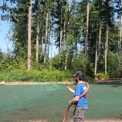 Worker spraying hydroseed on large lawn area near tall pine trees in Washington state.