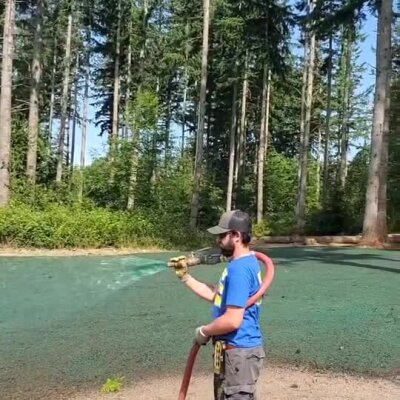 Man applying green hydroseed spray on lawn area near forest in Washington state.
