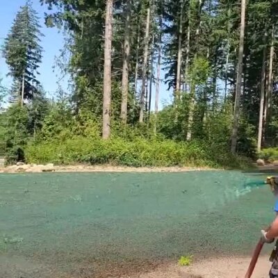 Worker spraying hydroseed mixture on residential lawn near tall pine trees.
