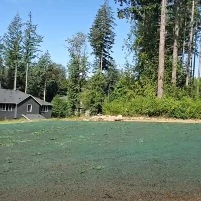 Newly hydroseeded lawn area near custom home with tall trees in background.
