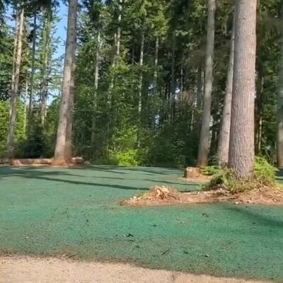 Hydroseed lawn installation near tall pine trees at a custom Lake Stevens home.