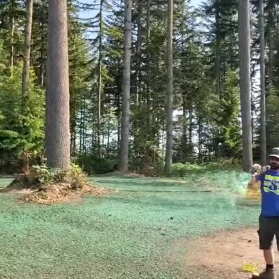 Man spraying hydroseed lawn in wooded residential area in Washington state.