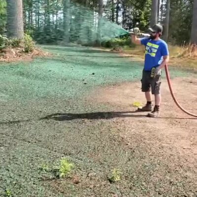 Man applying green hydroseed lawn coating on dirt area near forest trees.