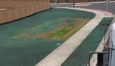 Freshly applied hydroseed lawn on commercial property near sidewalk and road.