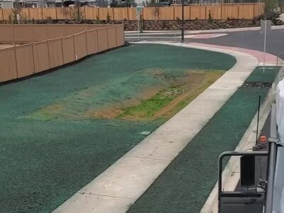 Freshly applied hydroseed lawn on commercial property near sidewalk and road.