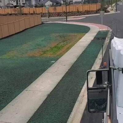 Fresh hydroseed installation on commercial development lawn along sidewalk.