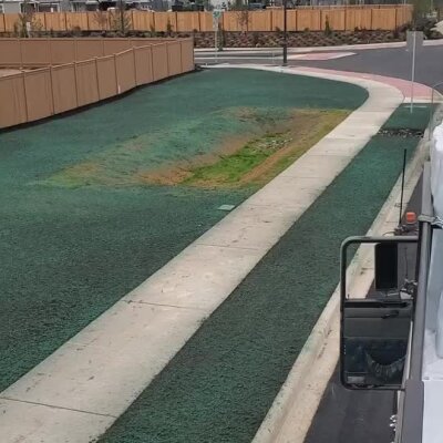 Hydroseed lawn application in residential development with green seed coating on soil.